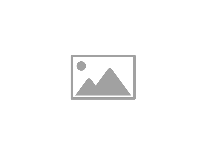 ZAM-Fassung 19